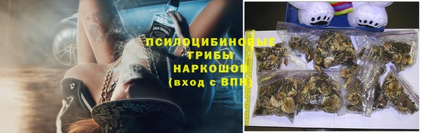 ALPHA PVP Новодвинск