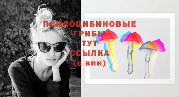 ECSTASY Нефтекумск
