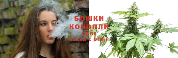 дживик Нея