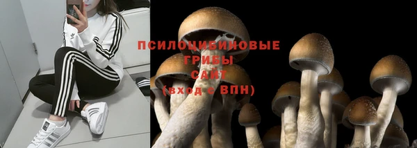 ECSTASY Нефтекумск