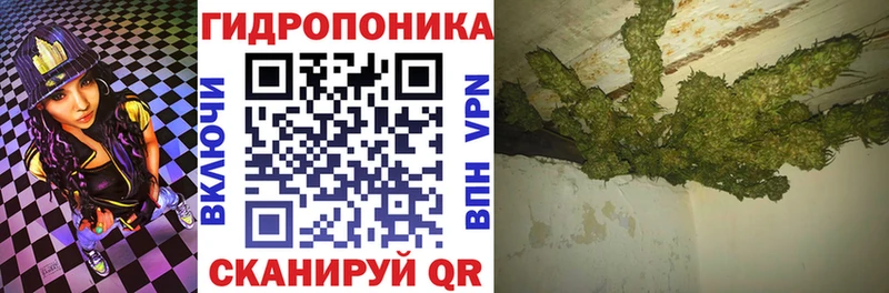 где можно купить наркотик  mega вход  Марихуана конопля  Белый 